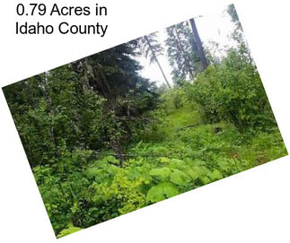 0.79 Acres in Idaho County