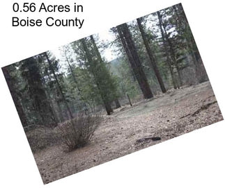 0.56 Acres in Boise County