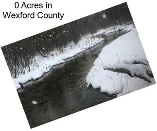 0 Acres in Wexford County