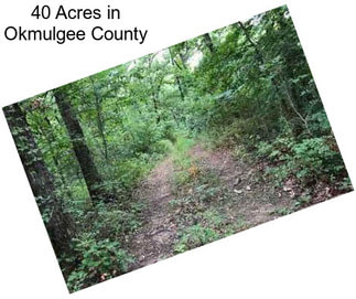 40 Acres in Okmulgee County