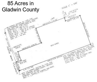 85 Acres in Gladwin County