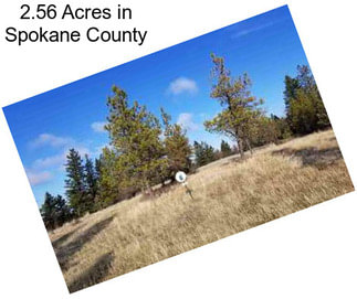 2.56 Acres in Spokane County