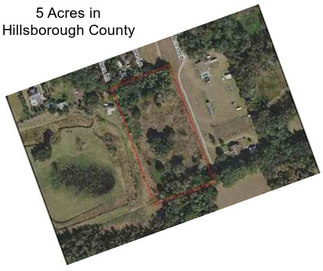 5 Acres in Hillsborough County