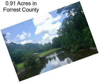 0.91 Acres in Forrest County