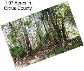 1.07 Acres in Citrus County
