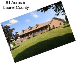 81 Acres in Laurel County