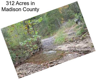 312 Acres in Madison County