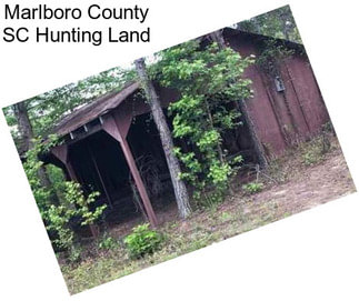 Marlboro County SC Hunting Land