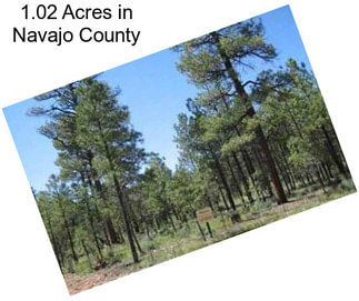 1.02 Acres in Navajo County
