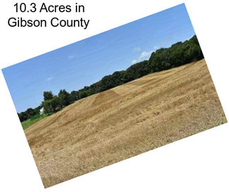 10.3 Acres in Gibson County