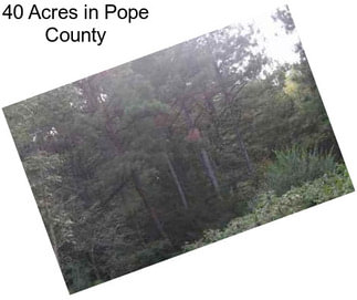 40 Acres in Pope County