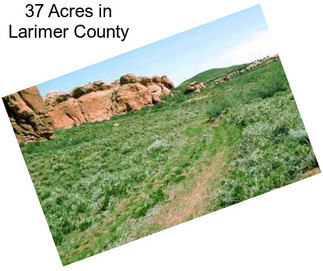 37 Acres in Larimer County