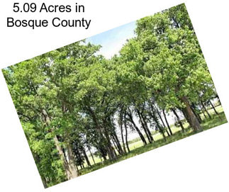 5.09 Acres in Bosque County