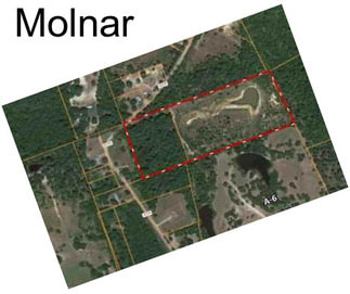 Molnar