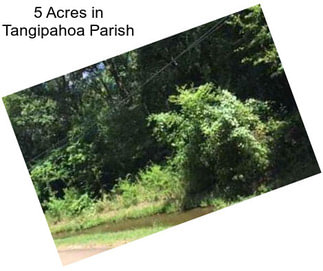 5 Acres in Tangipahoa Parish