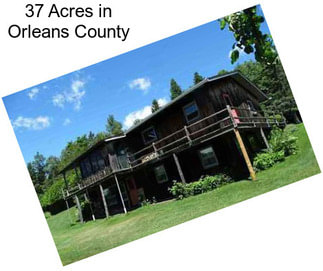 37 Acres in Orleans County
