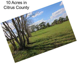 10 Acres in Citrus County