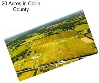 20 Acres in Collin County