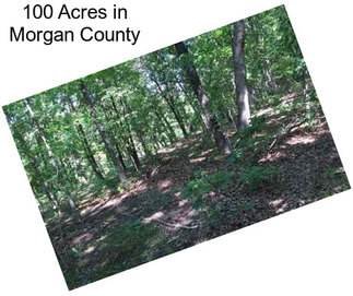 100 Acres in Morgan County