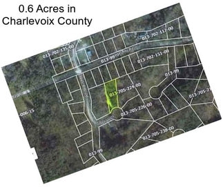 0.6 Acres in Charlevoix County