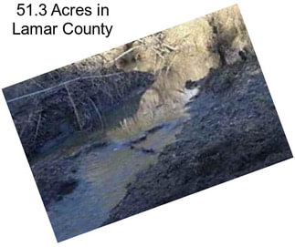 51.3 Acres in Lamar County