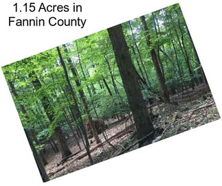 1.15 Acres in Fannin County