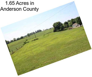 1.65 Acres in Anderson County