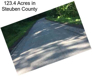 123.4 Acres in Steuben County