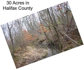 30 Acres in Halifax County