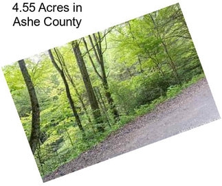 4.55 Acres in Ashe County