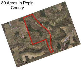 89 Acres in Pepin County