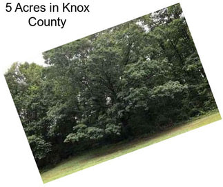 5 Acres in Knox County