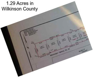 1.29 Acres in Wilkinson County