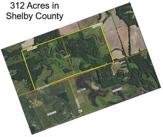 312 Acres in Shelby County