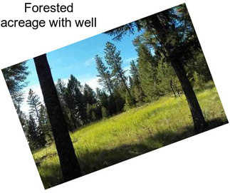 Forested acreage with well