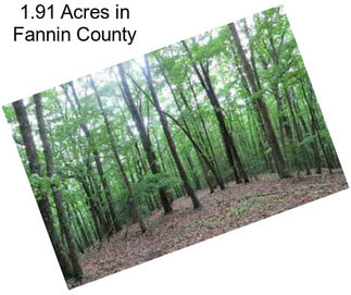 1.91 Acres in Fannin County
