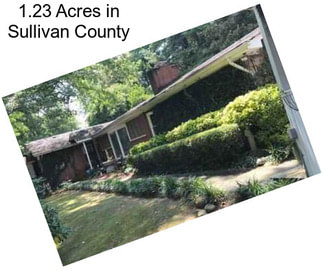 1.23 Acres in Sullivan County