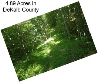 4.89 Acres in DeKalb County