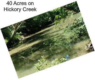 40 Acres on Hickory Creek