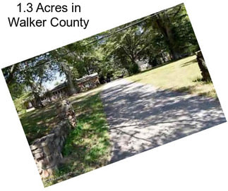 1.3 Acres in Walker County