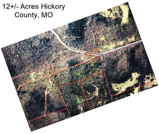 12+/- Acres Hickory County, MO