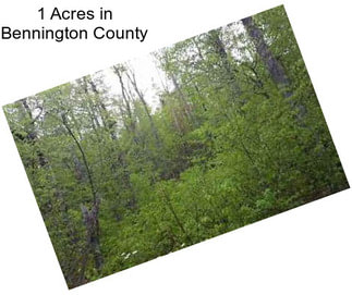 1 Acres in Bennington County