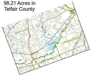 98.21 Acres in Telfair County