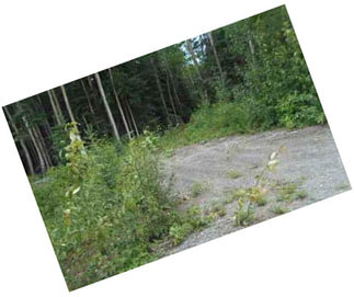 Alaska residential or recreational lot, wooded lot with driveway 
MLS 17-13