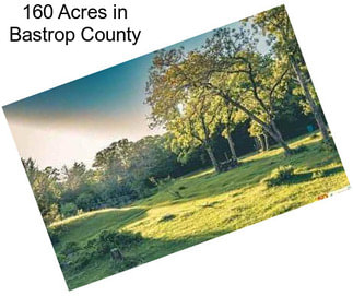 160 Acres in Bastrop County