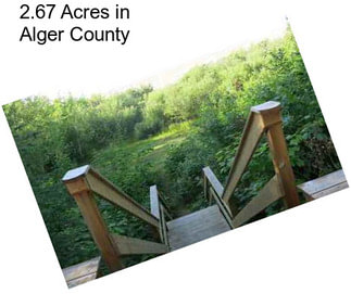 2.67 Acres in Alger County