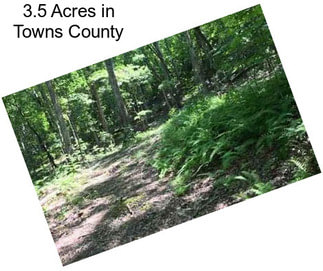 3.5 Acres in Towns County