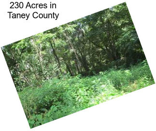 230 Acres in Taney County