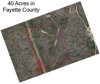 40 Acres in Fayette County
