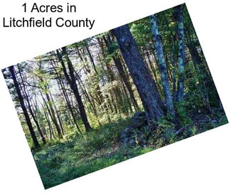 1 Acres in Litchfield County